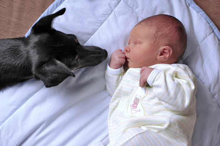 Baby en hond