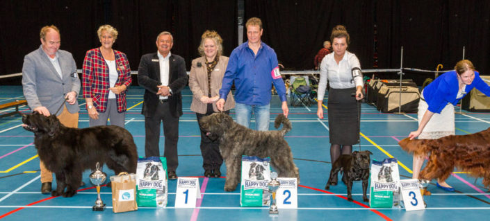 BIS en res. BIS clubmatch 2017 K.C. ‘s-Hertogenbosch e.o. BIS en res. BIS clubmatch 2017 K.C. 's-Hertogenbosch e.o.